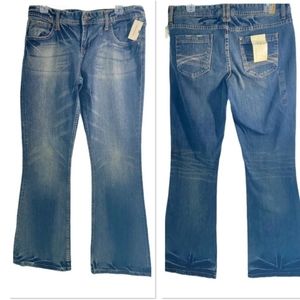 MAURICES Molli Flare Jeans, NWT, 9/10 Long